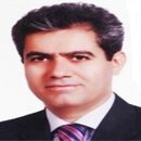 دکتر محمد حسن هوشمندی